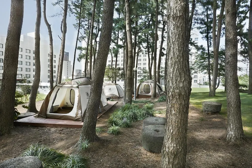 Maison Glad Jeju South Korea