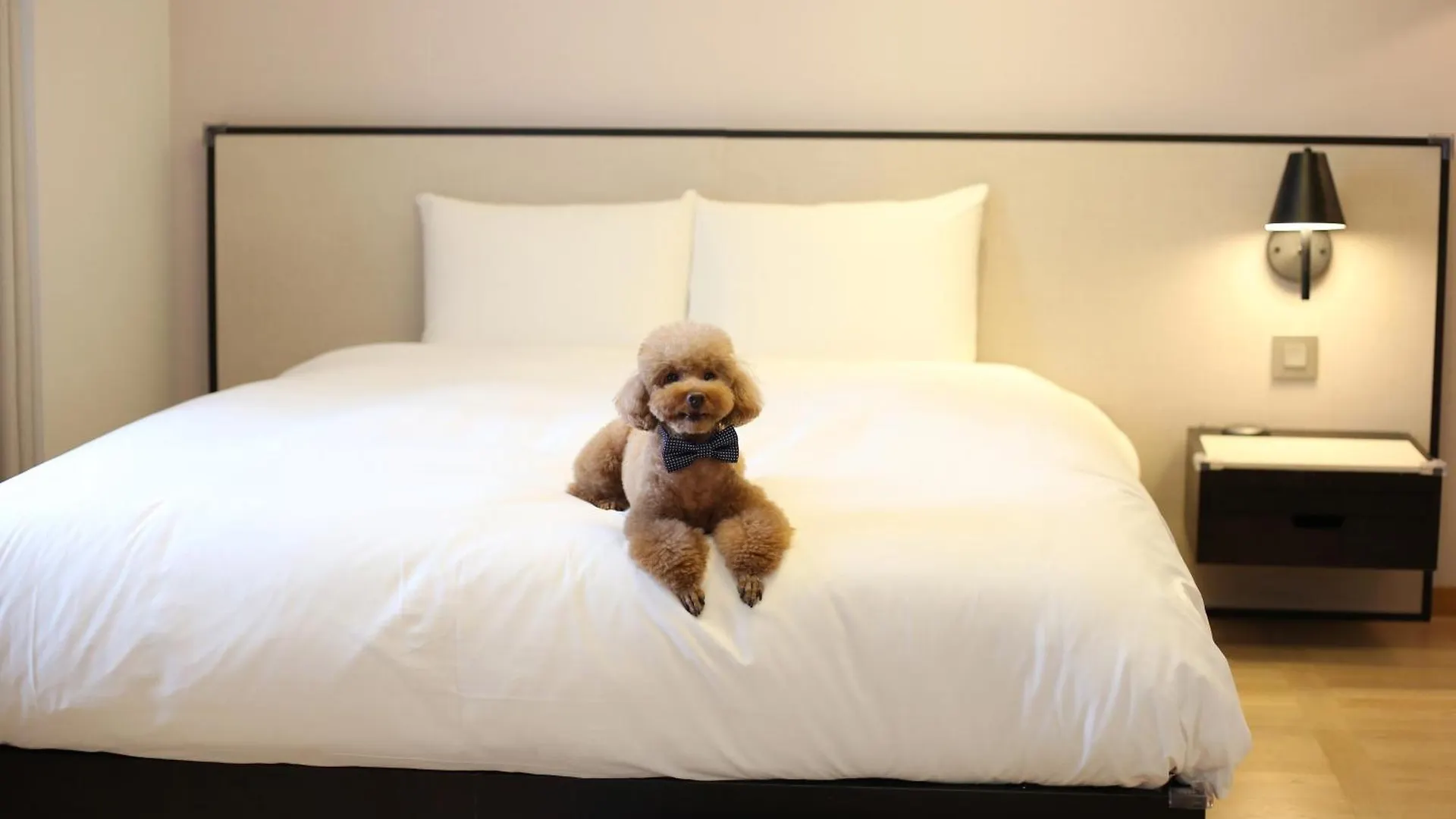 Maison Glad Jeju