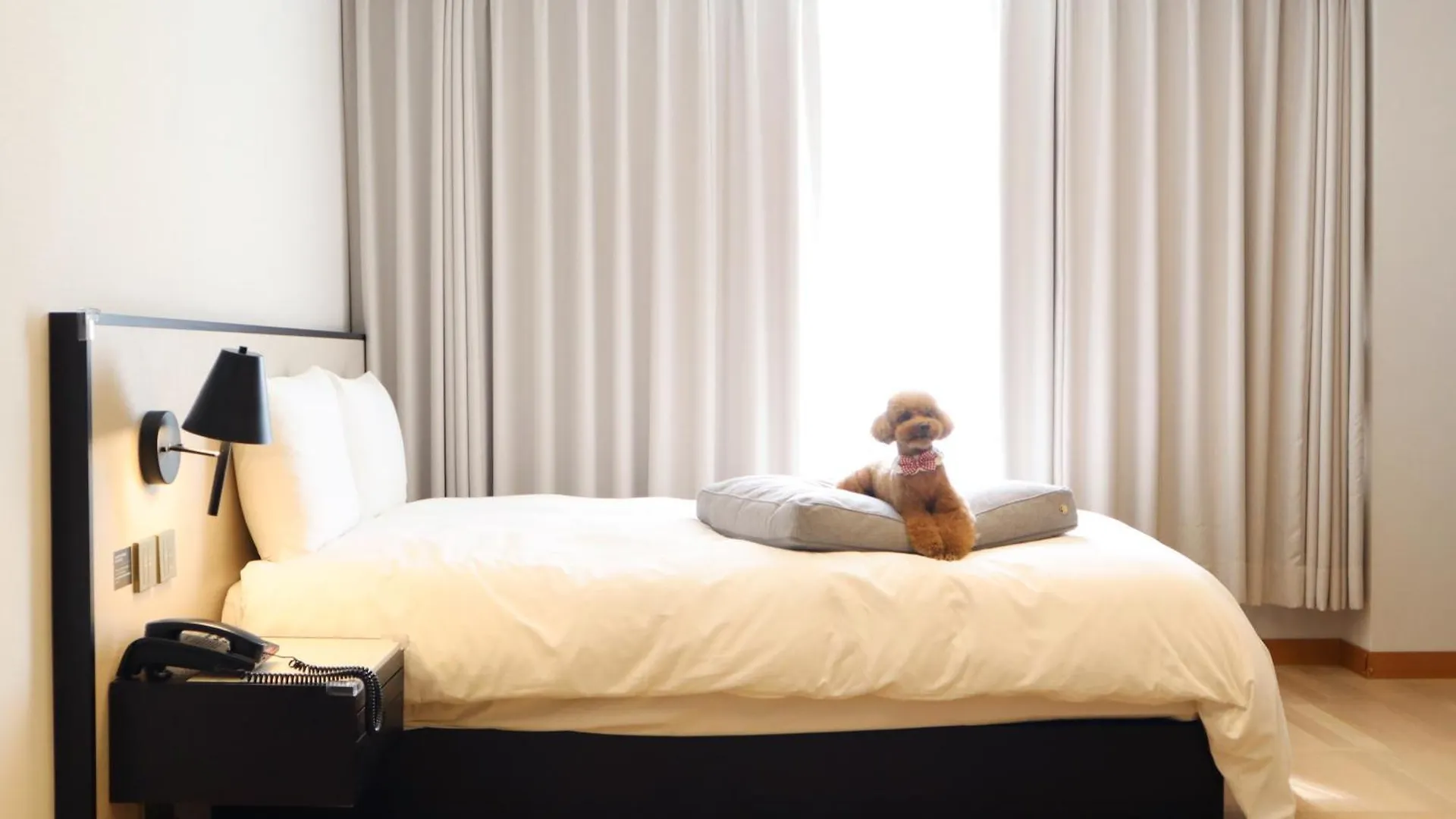 Hotel Maison Glad Jeju